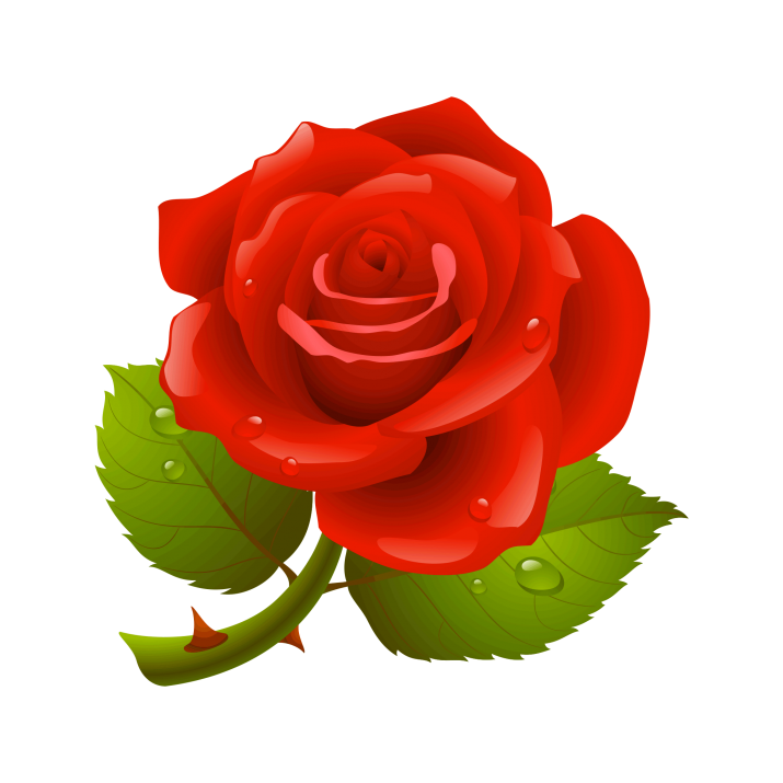 Red Flower png by madbor